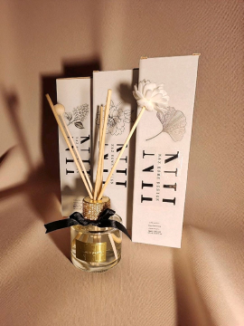 Oda Kokusu Bambu Çubuklu  Coco Bloom Gold