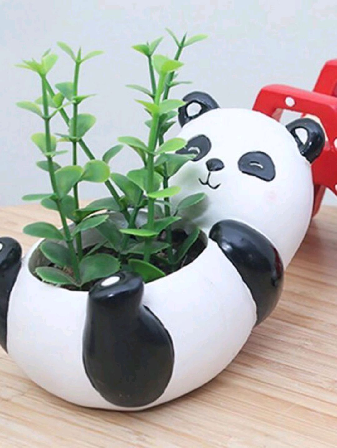 panda-sukulent-saksisi-saksi-modelleri-beyaz
