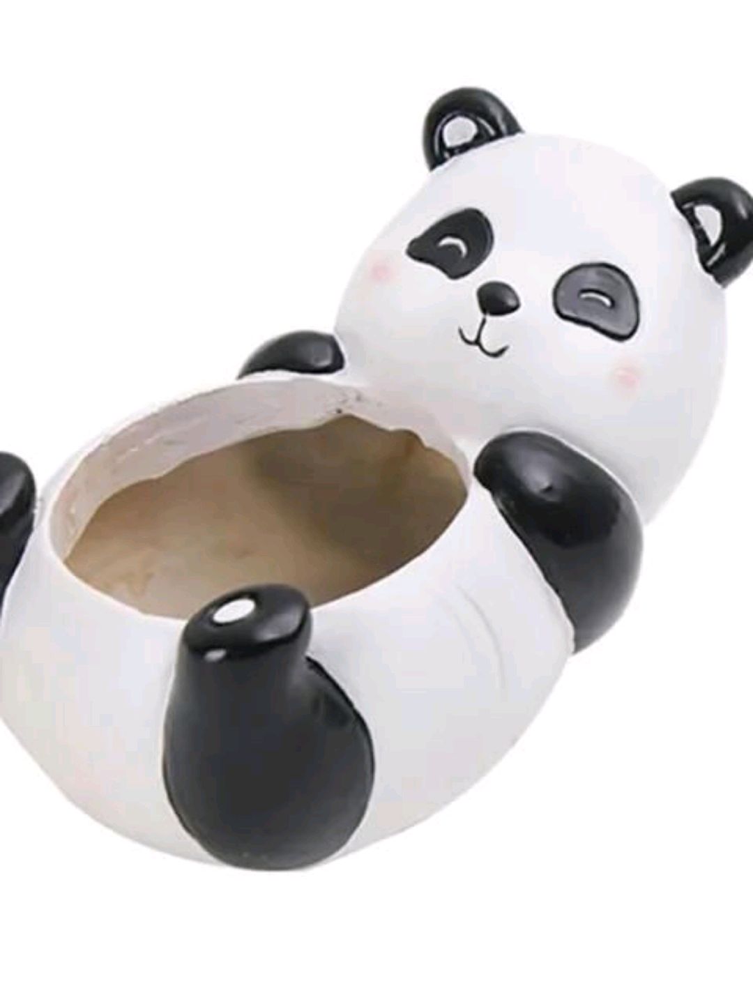 panda-sukulent-saksisi-saksi-modelleri-beyaz