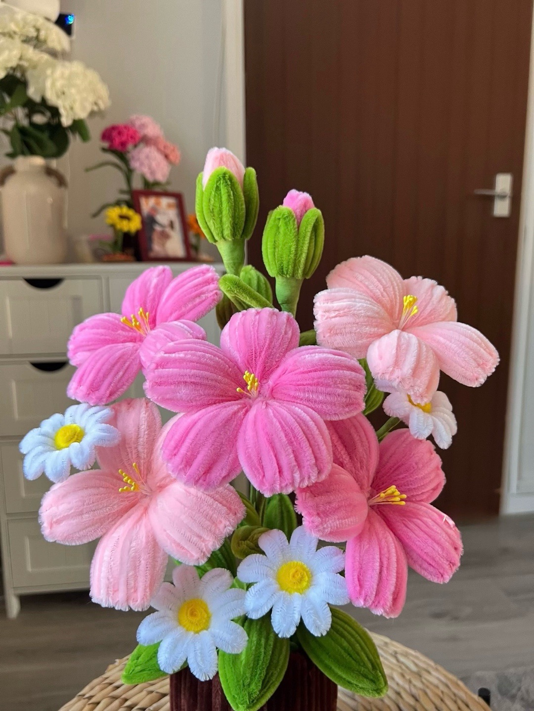 hibiscus-cicek-saksi-cok-renkli