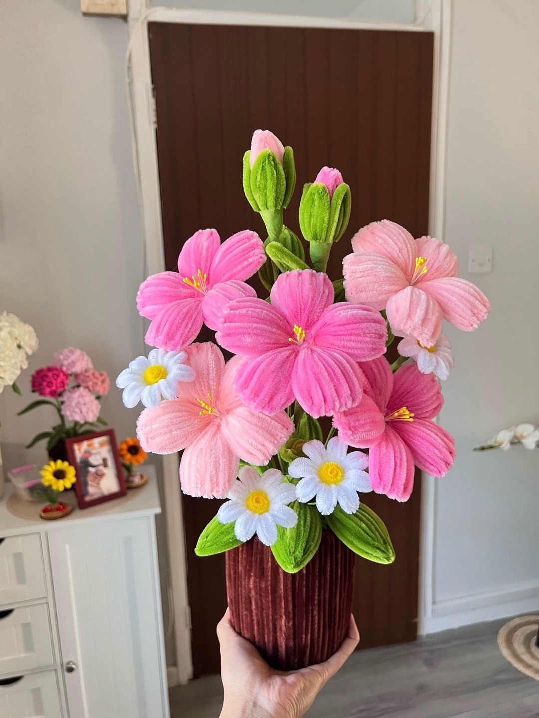 hibiscus-cicek-saksi-cok-renkli