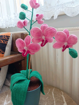 Örgü Orkide Pembe