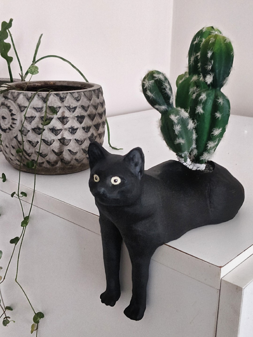 kedi-saksi-siyah