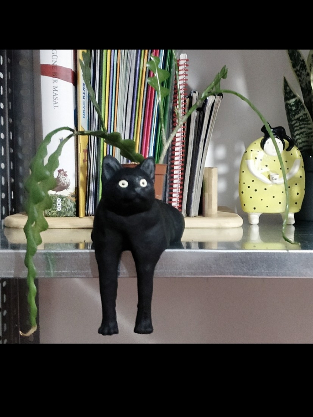 kedi-saksi-siyah