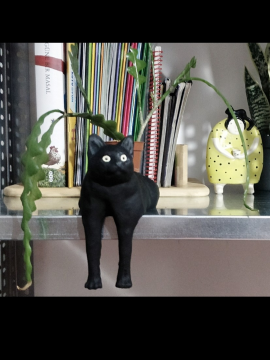 Kedi Saksı  Siyah