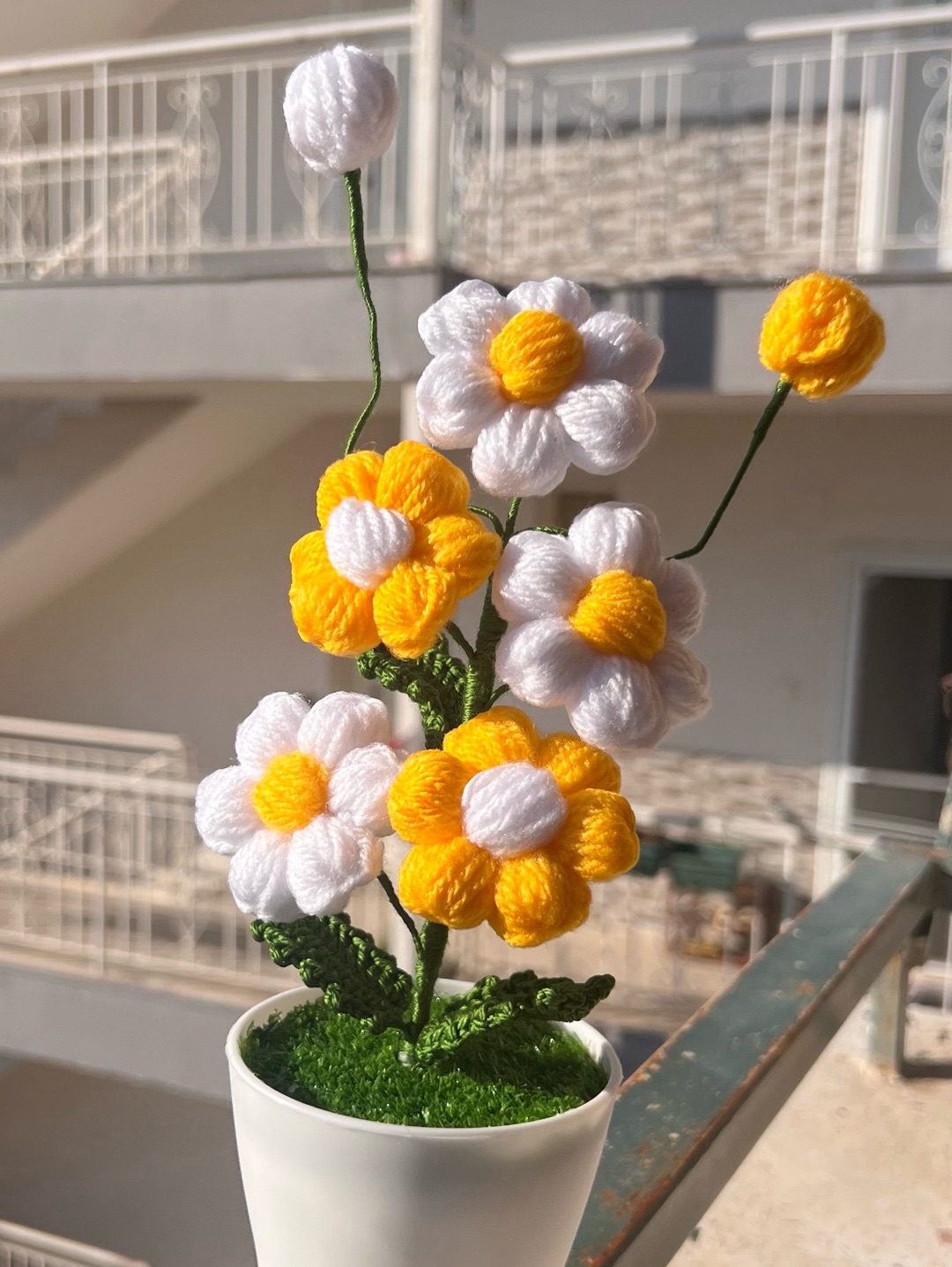 saksida-orgu-papatya-beyaz