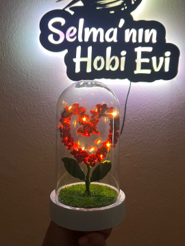 Işıklı Fanusta Kalp  Kırmızı