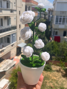 Saksıdan Örgü Gül Ağacı  Beyaz