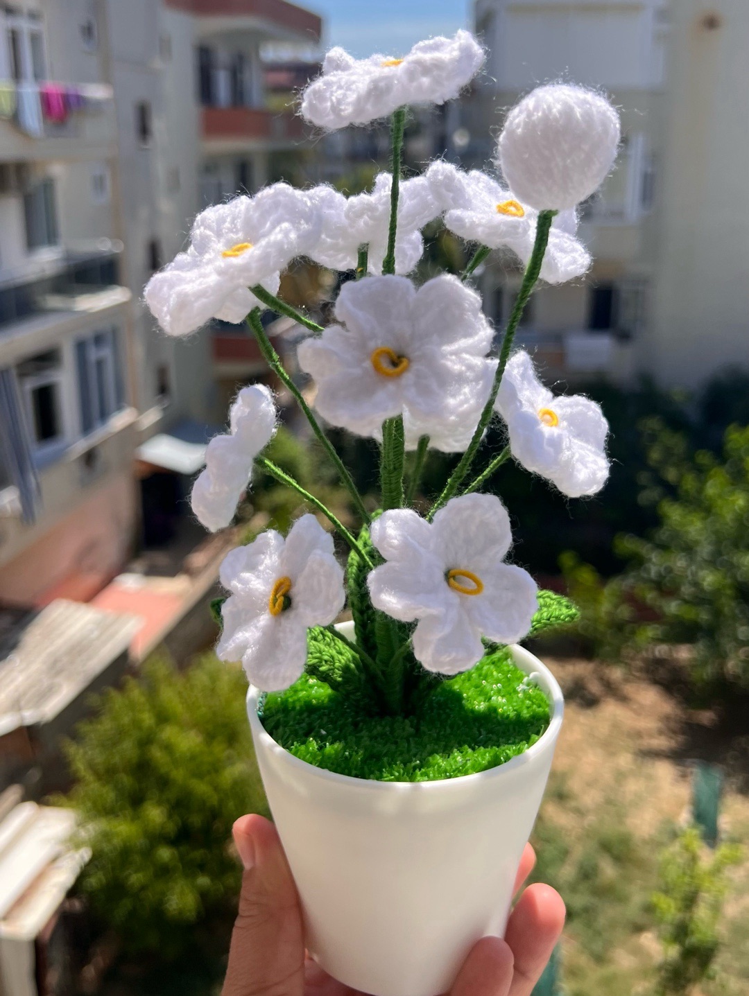 saksida-unutma-beni-cicegi-beyaz