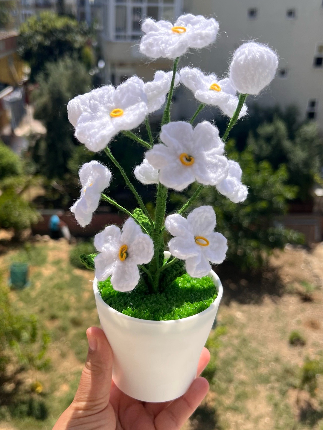 saksida-unutma-beni-cicegi-beyaz