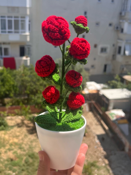 Saksıdan Örgü Gül Ağacı  Kırmızı