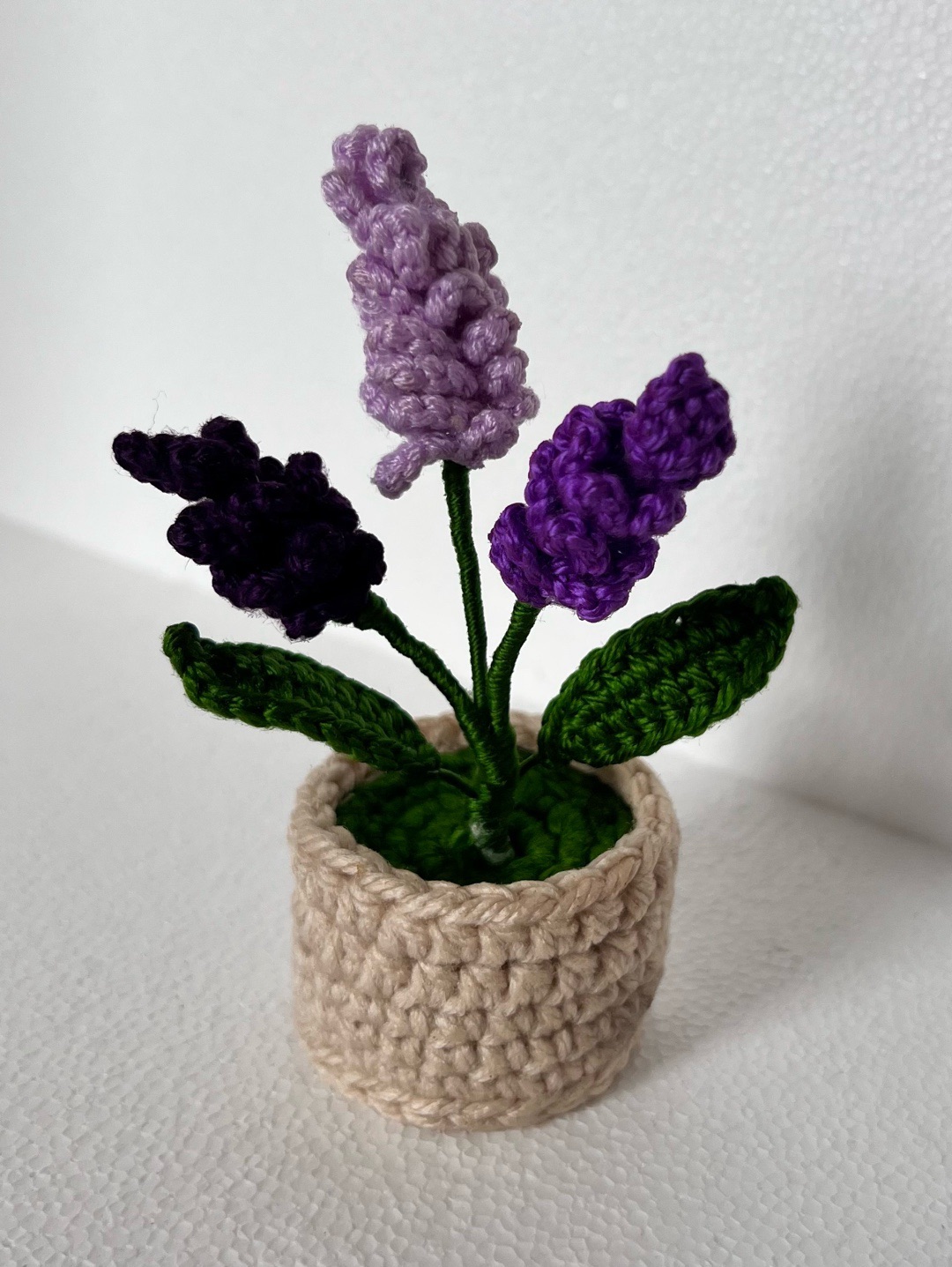 mini-lavant-mor