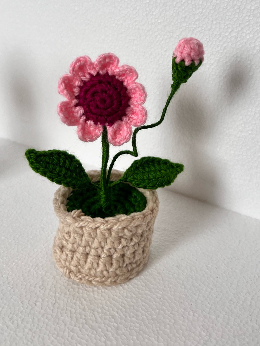 mini-papatya-pembe