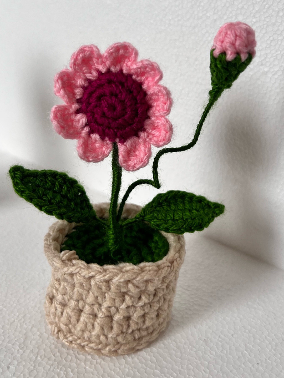 mini-papatya-pembe