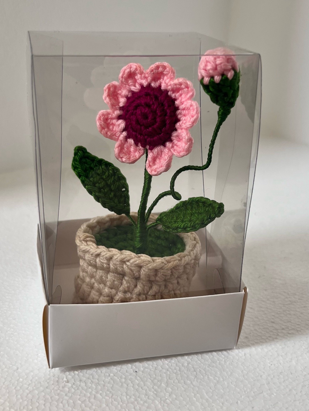 mini-papatya-pembe