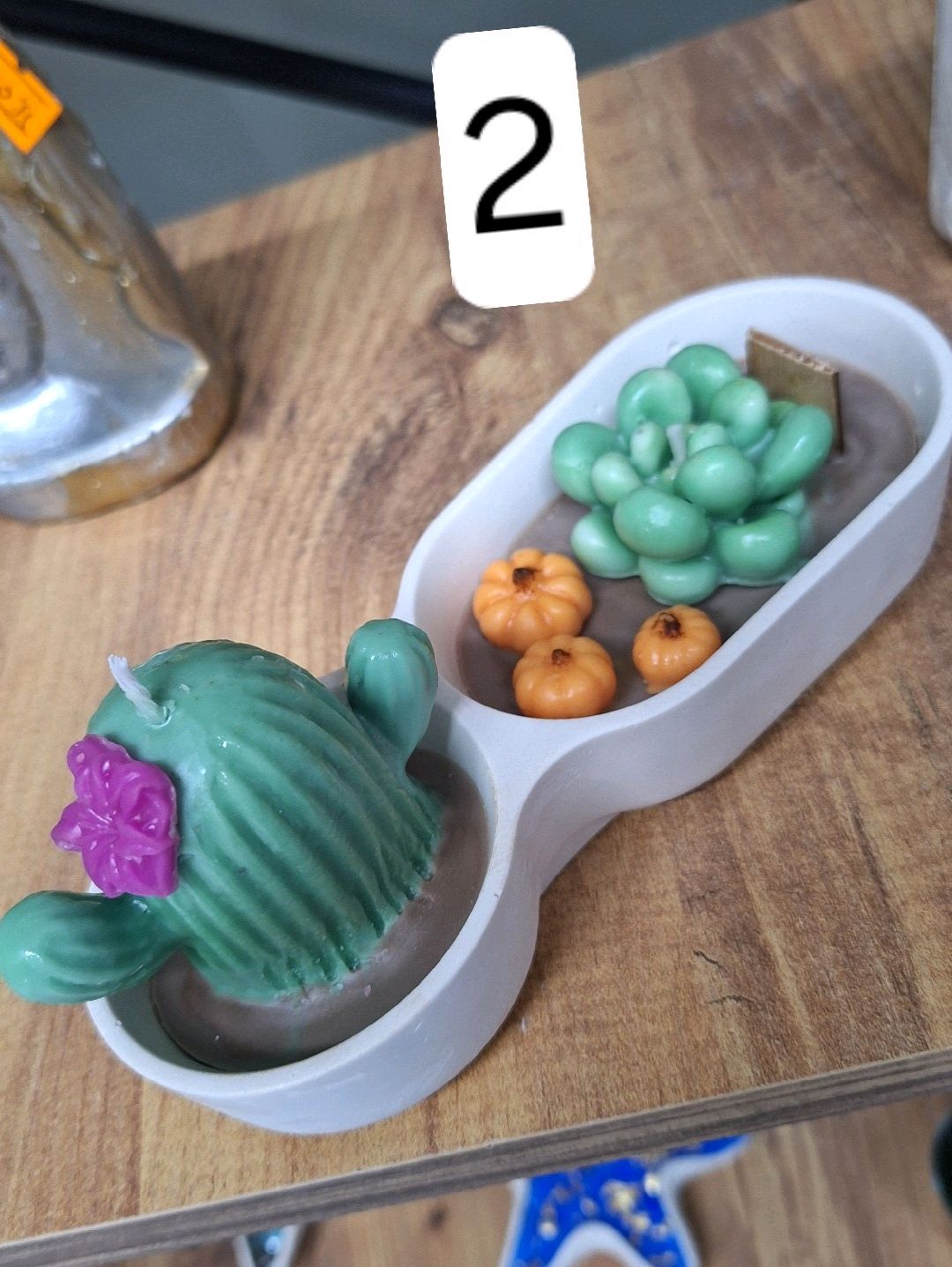 kaktus-sukulent-bahcesi-mum-cok-renkli