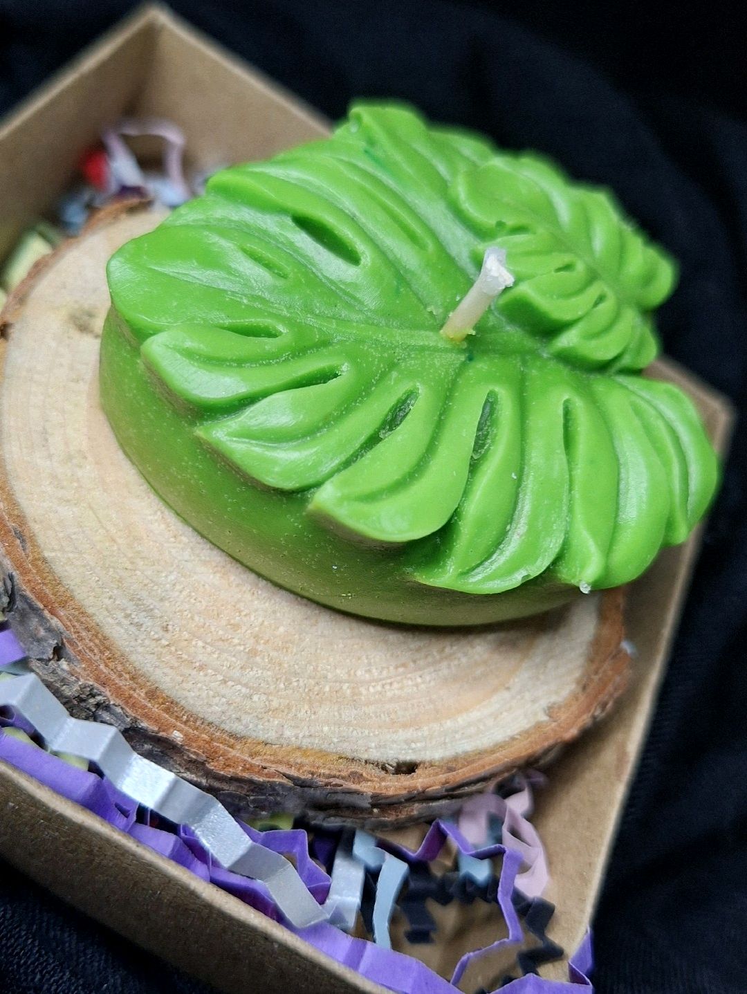 monstera-yaprak-mum-yesil