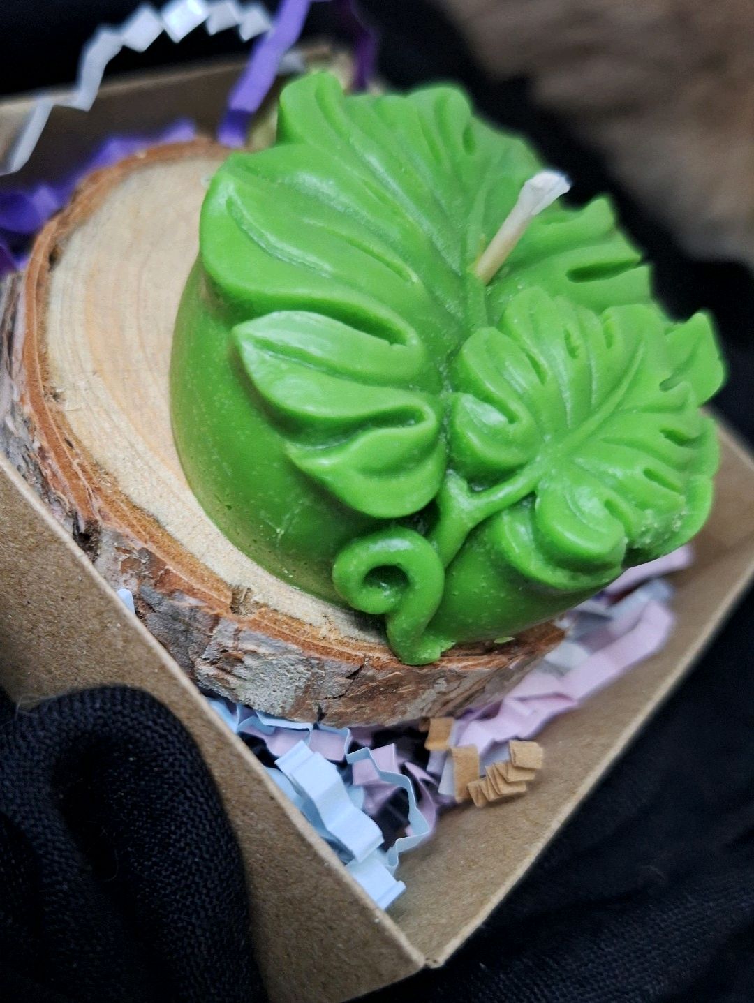 monstera-yaprak-mum-yesil