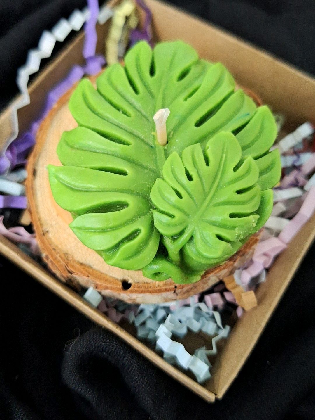 monstera-yaprak-mum-yesil