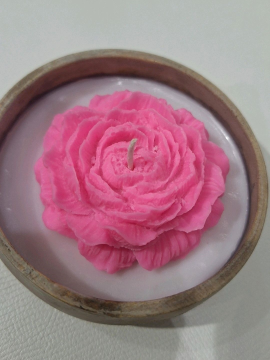 Şakayık  Pembe