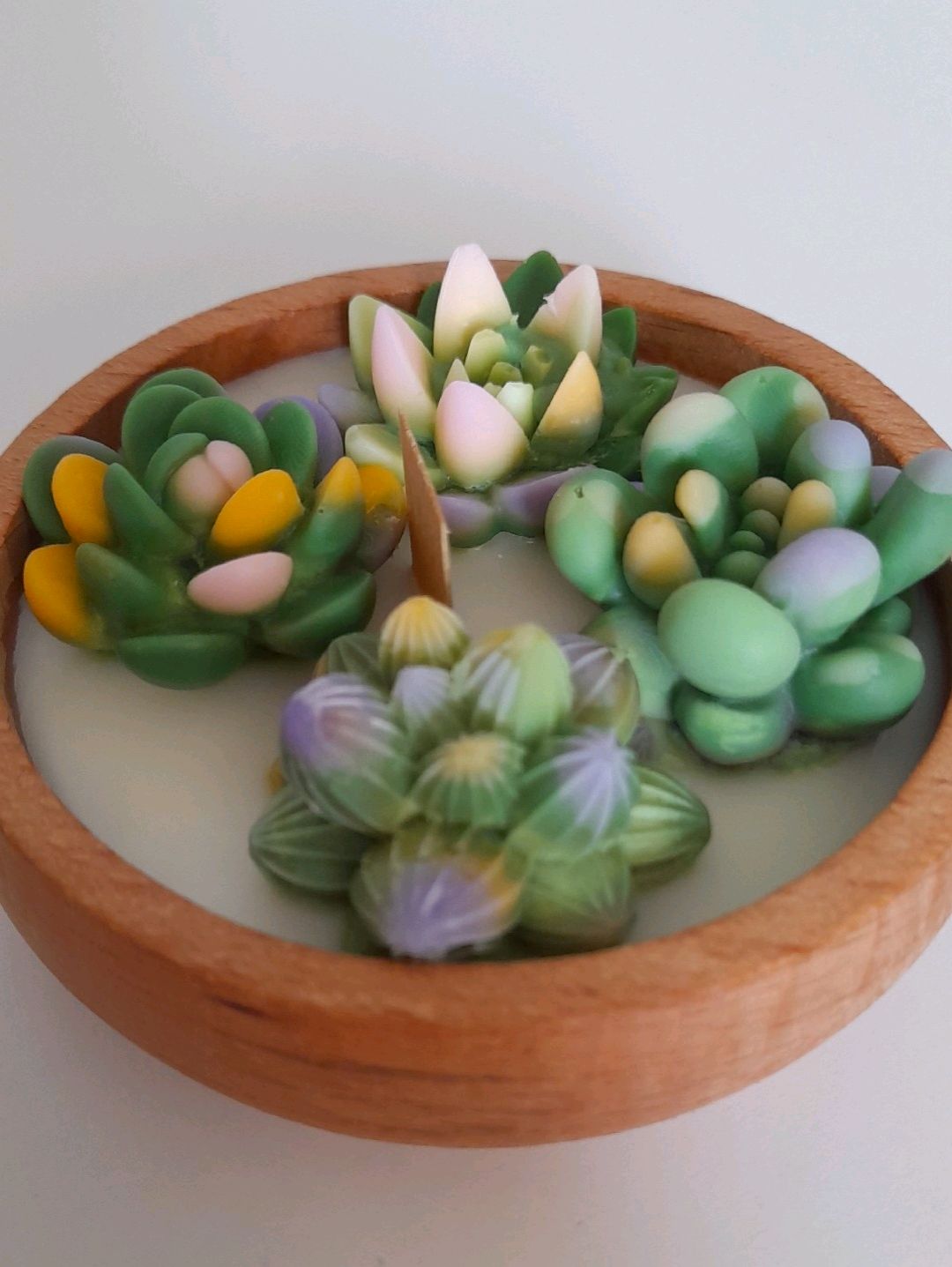 sukulent-mum-bahcesi-ahsap-kasede-soya-mumu-cok-renkli