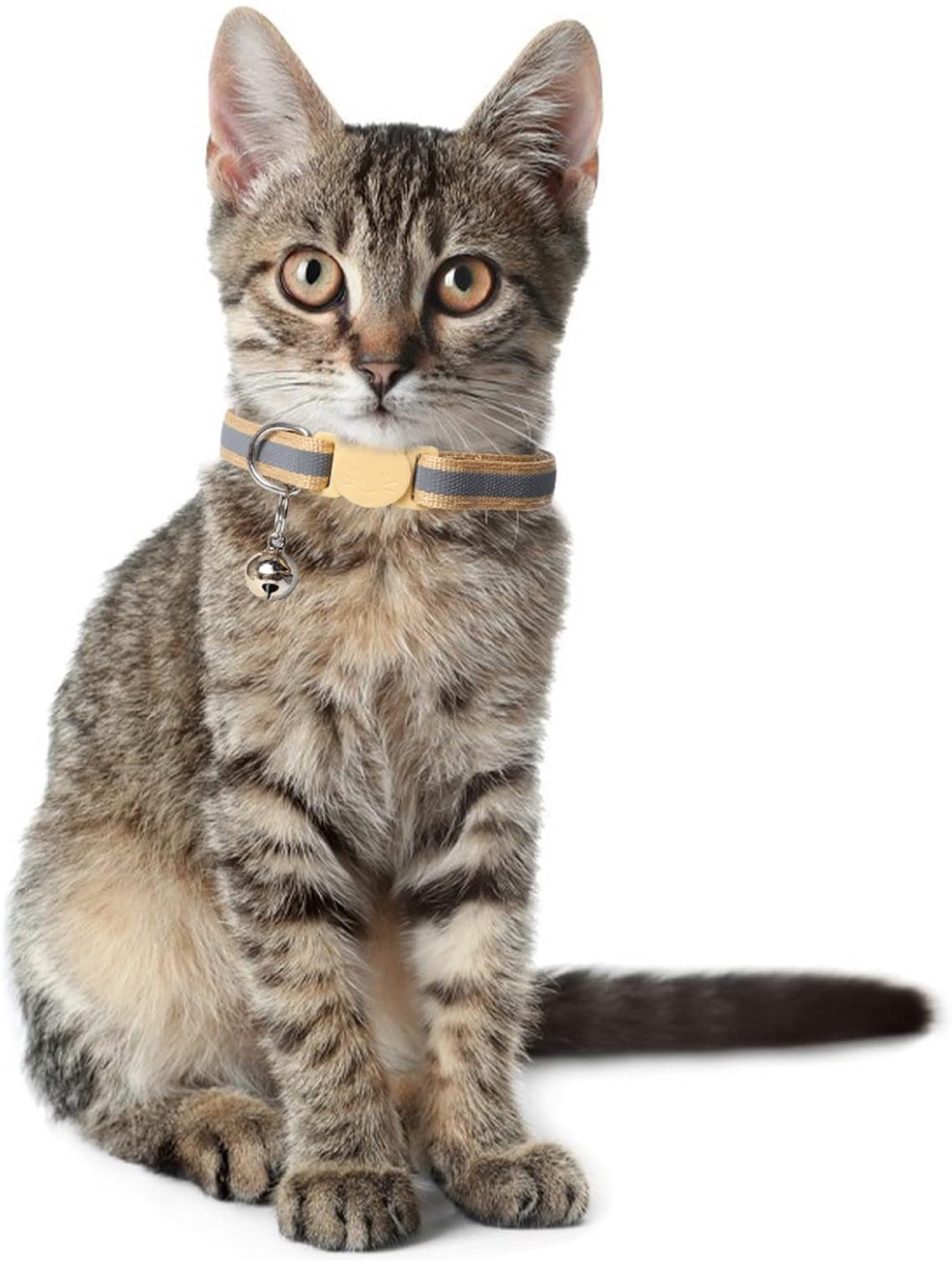 miucat-kedi-kolyesi---2019032