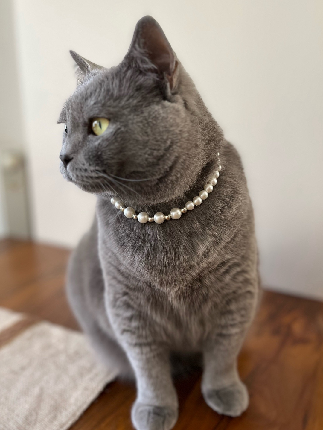miucat-inci-kedi-kolyesi---2019012