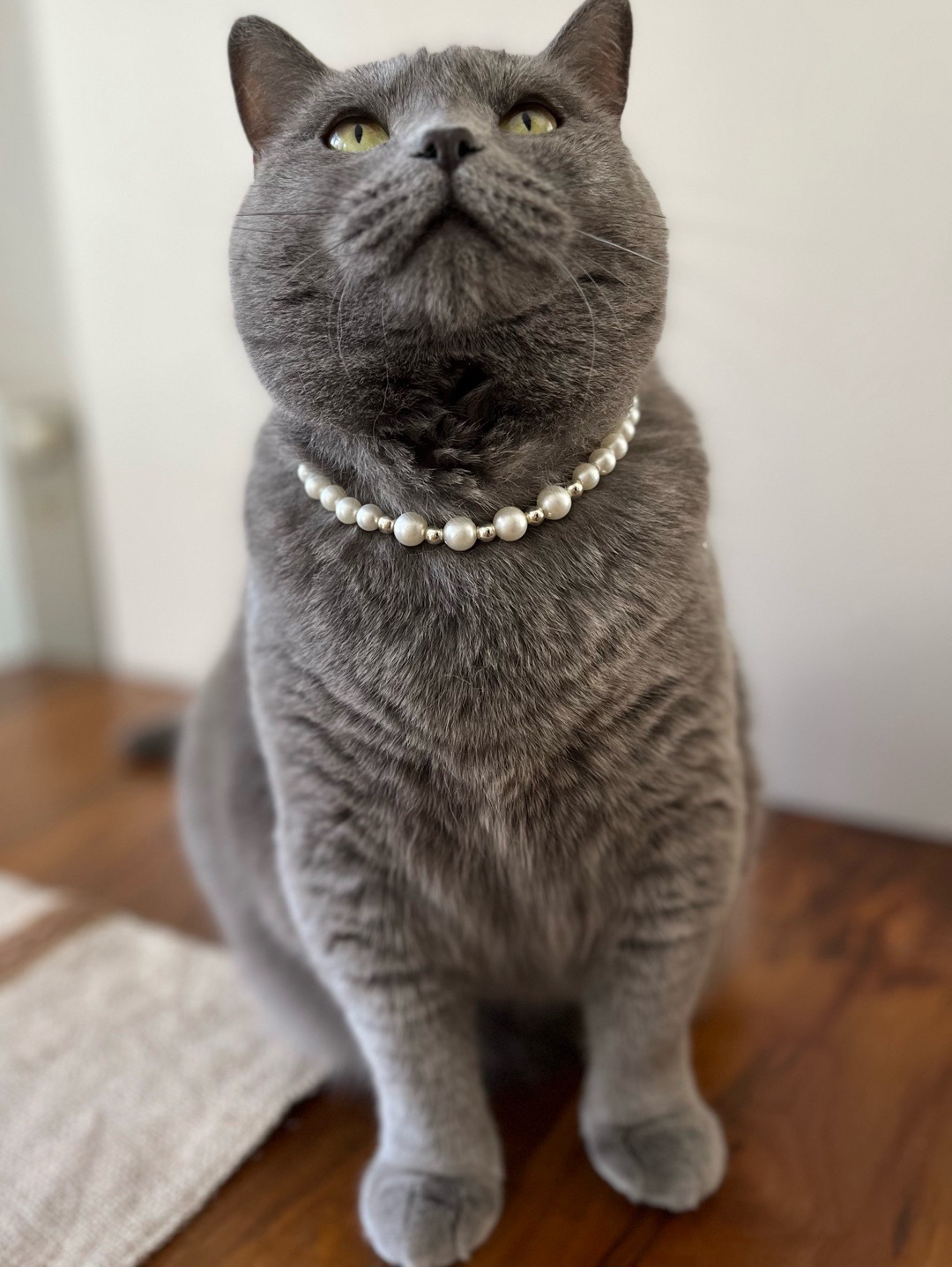 miucat-inci-kedi-kolyesi---2019012
