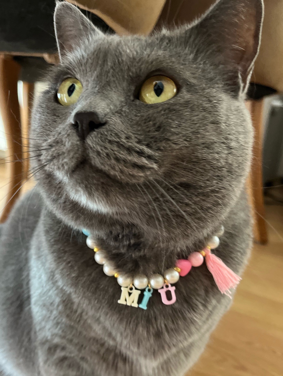 miucat-inci-kedi-kolyesi---2019051-beyaz