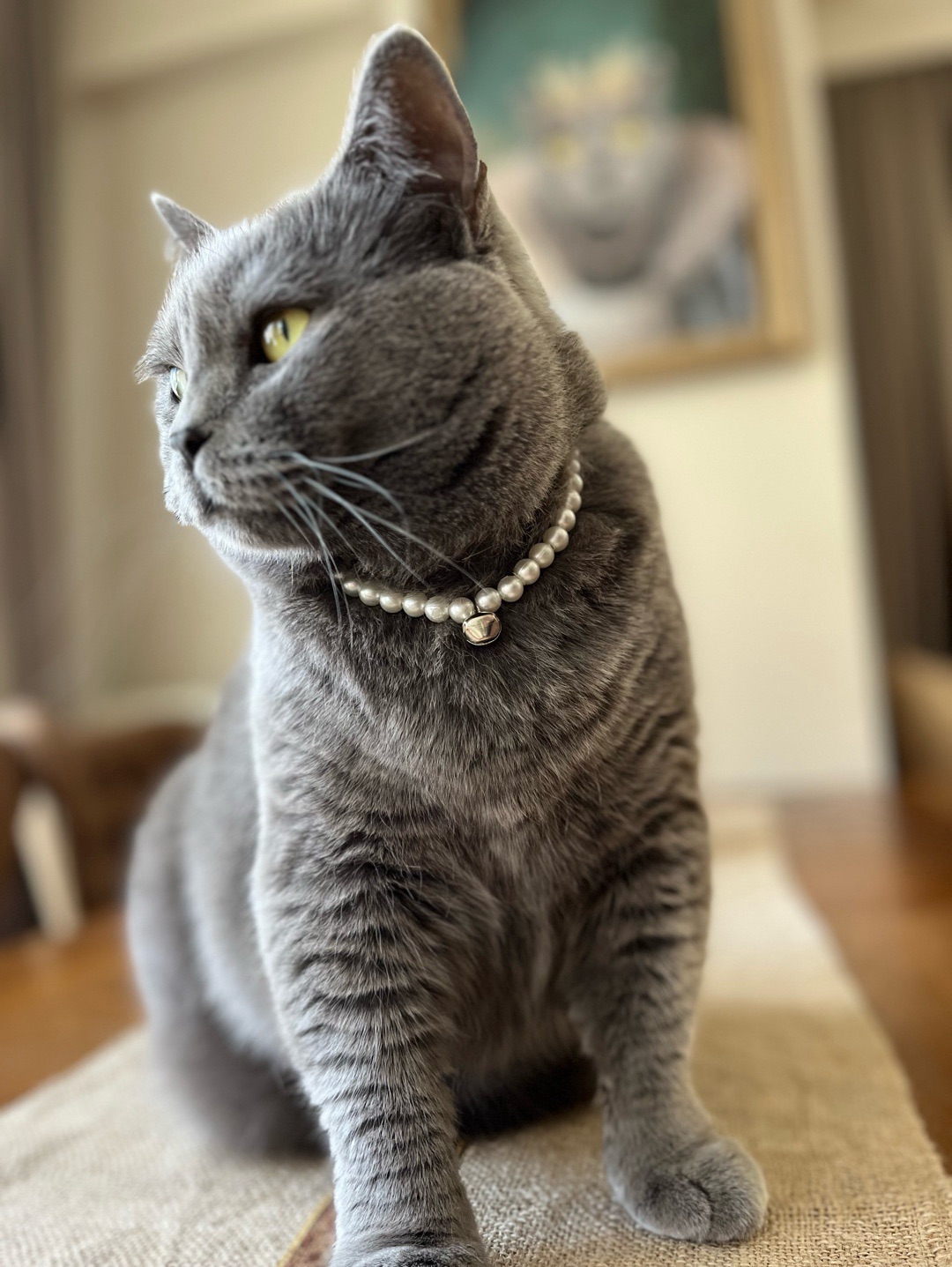 miucat-inci-kedi-kolyesi---2019009