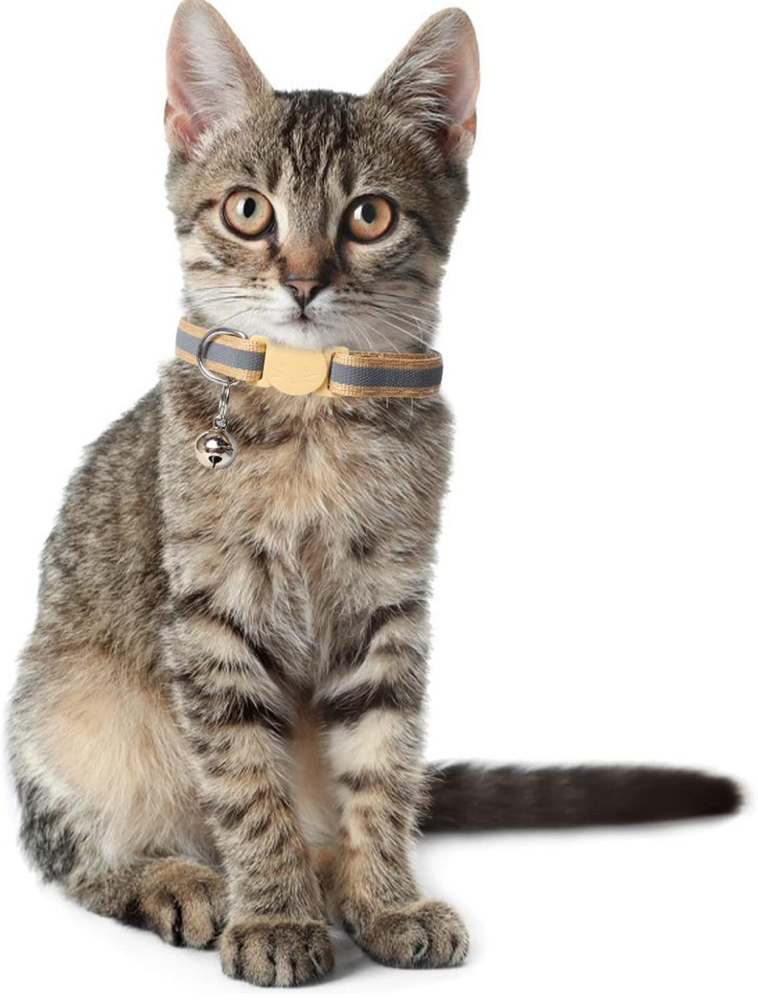 miucat-kedi-kolyesi---2019031