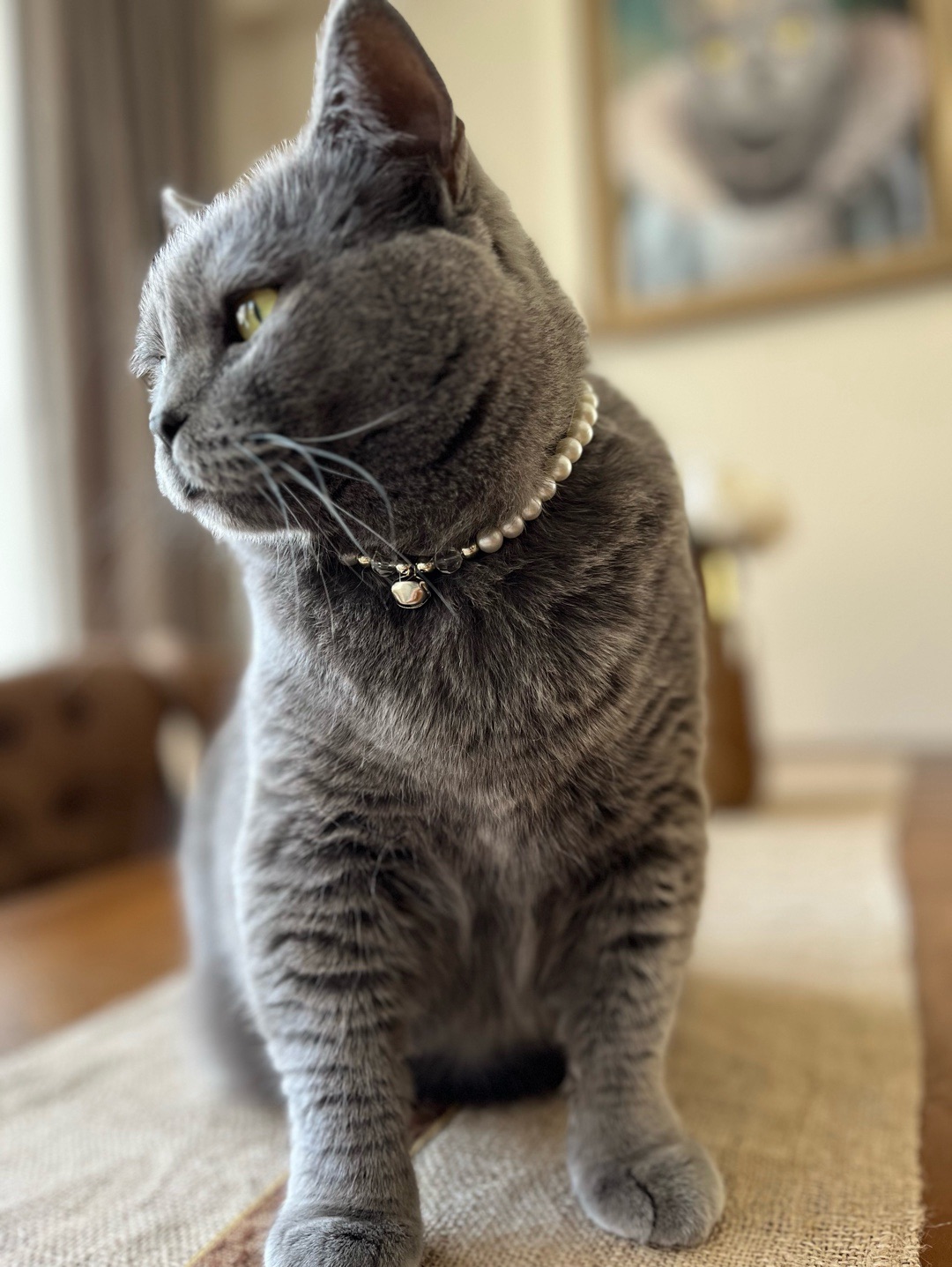 miucat-inci-kedi-kolyesi---2019014