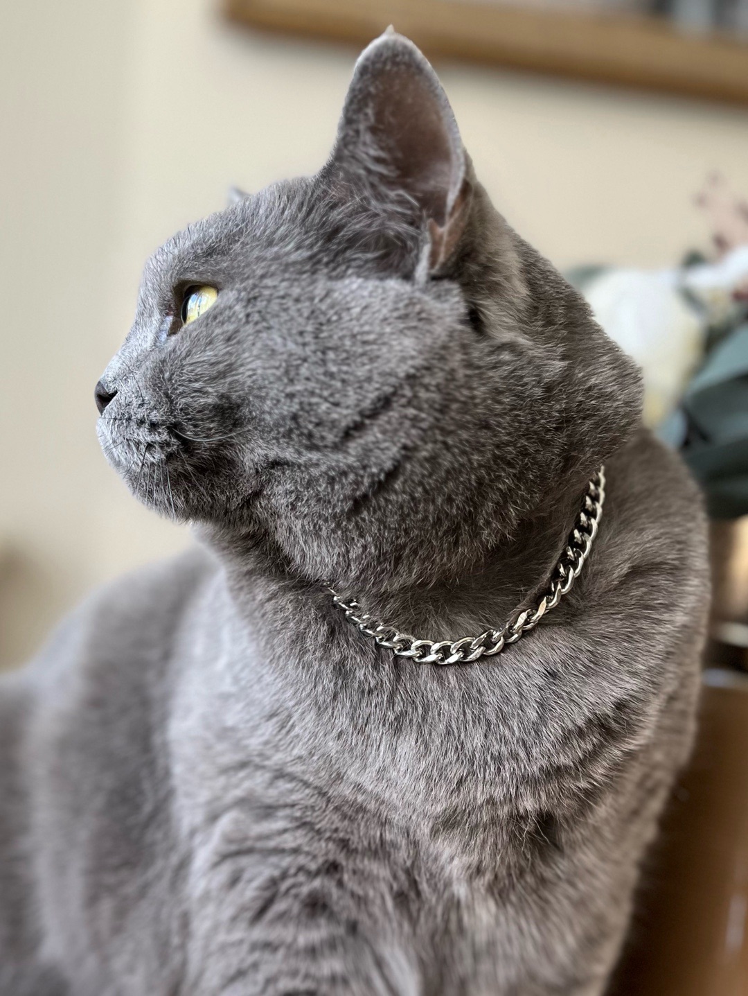 miucat-celik-kedi-kolyesi---2019011
