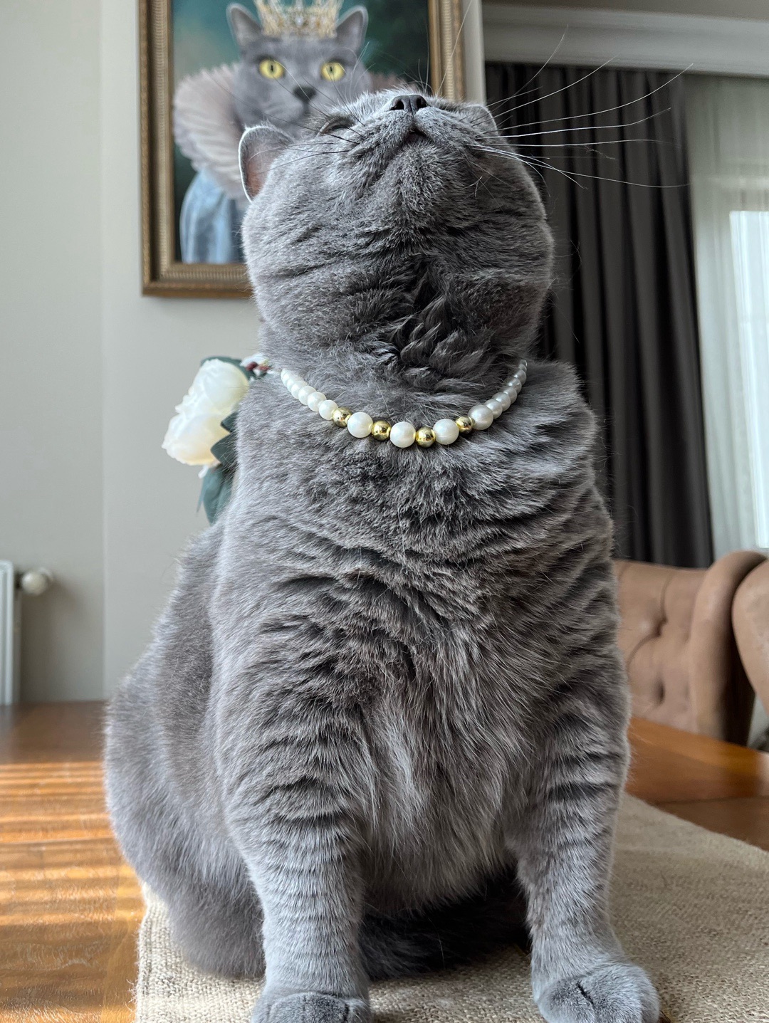 miucat-inci-kedi-kolyesi---2019010