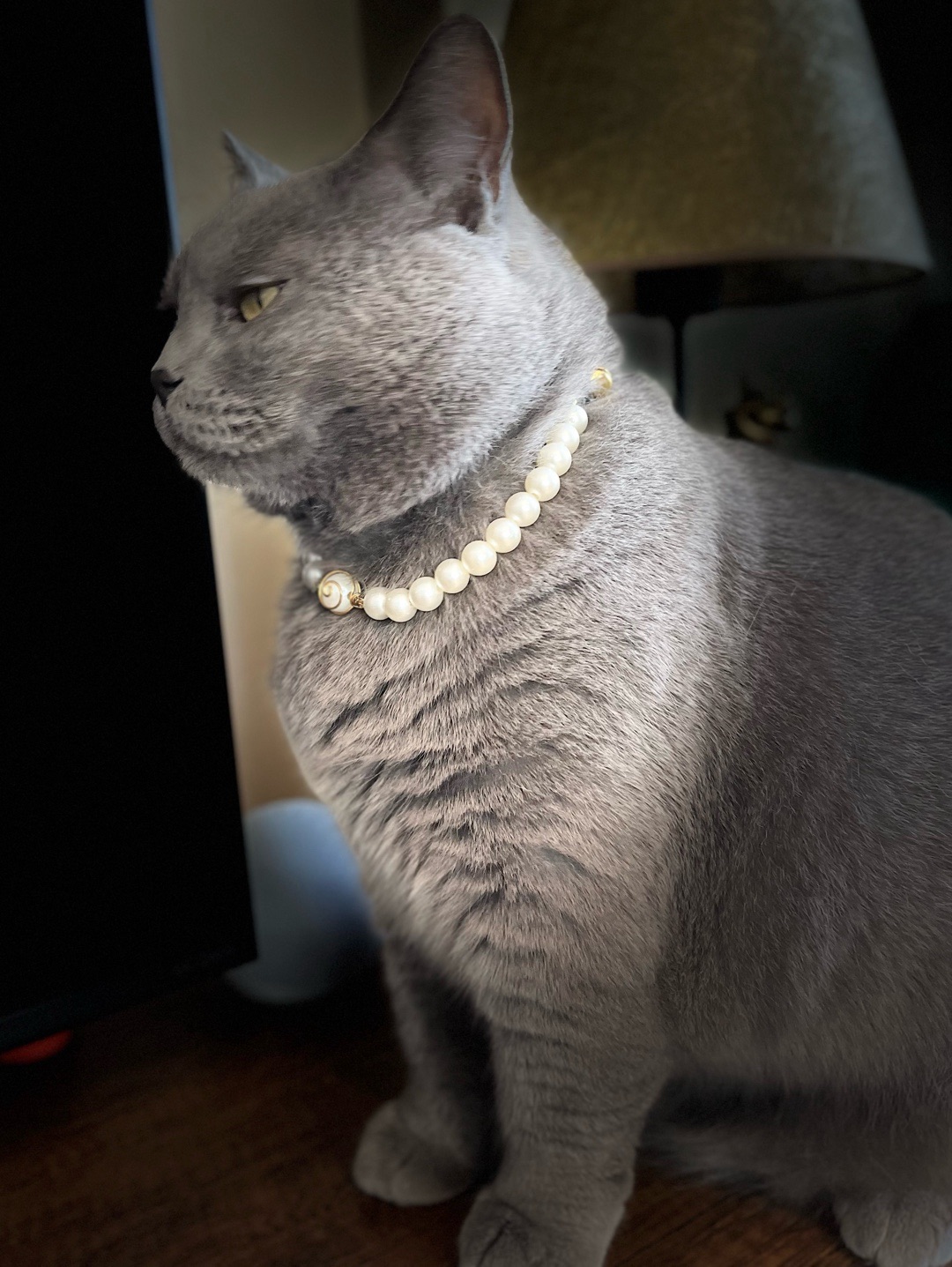 miucat-inci-kedi-kolyesi-zilli-kedi-tasmasi---2019004-altin-rengi