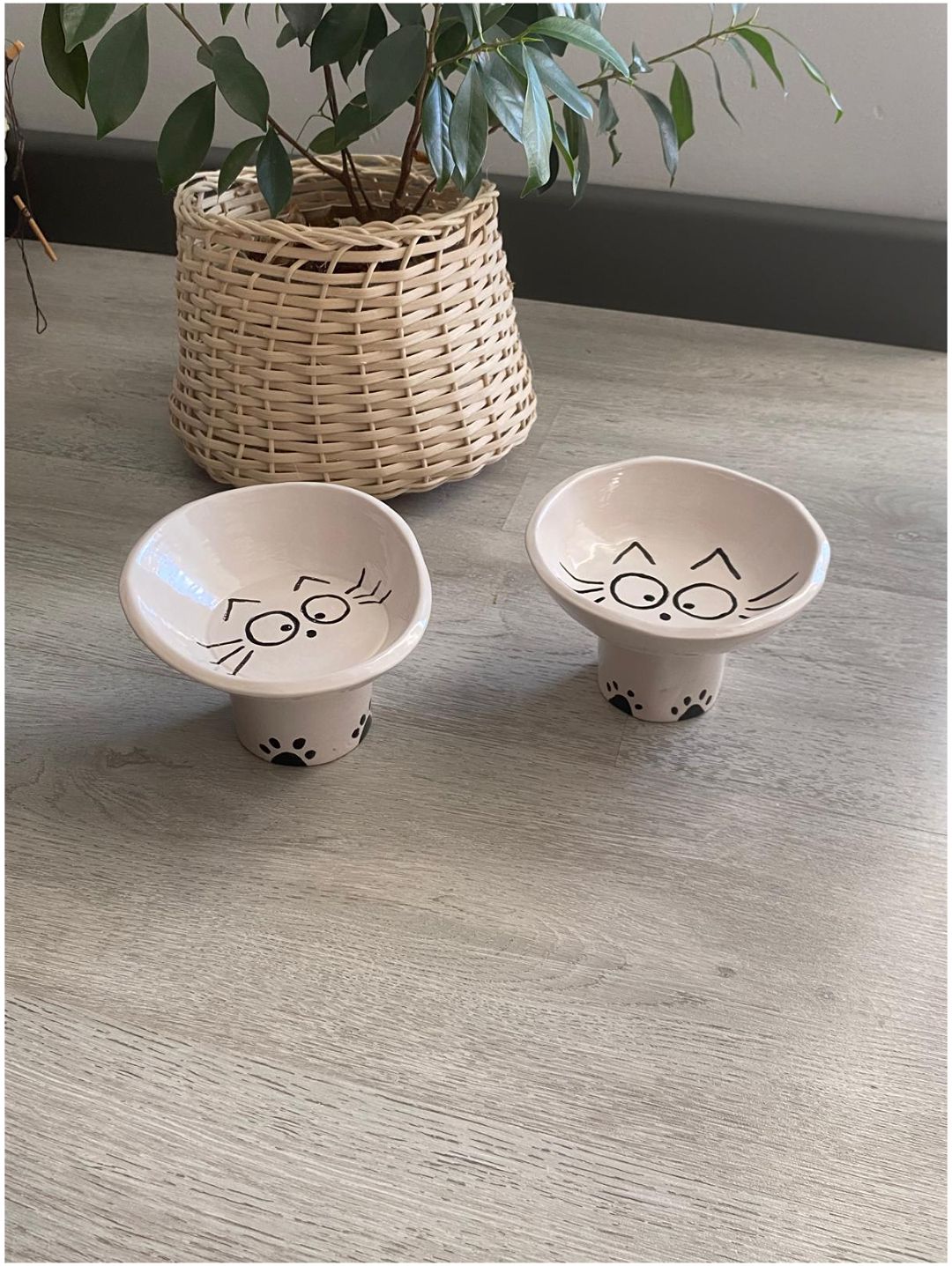 kedi-icin-mama-ve-su-kabi