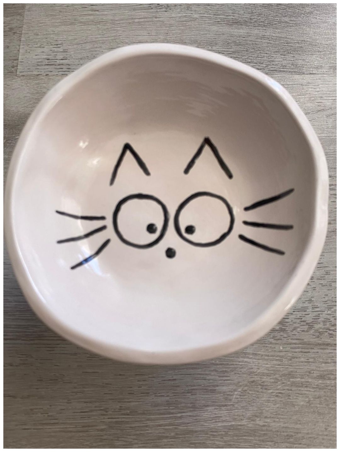 kedi-icin-mama-ve-su-kabi
