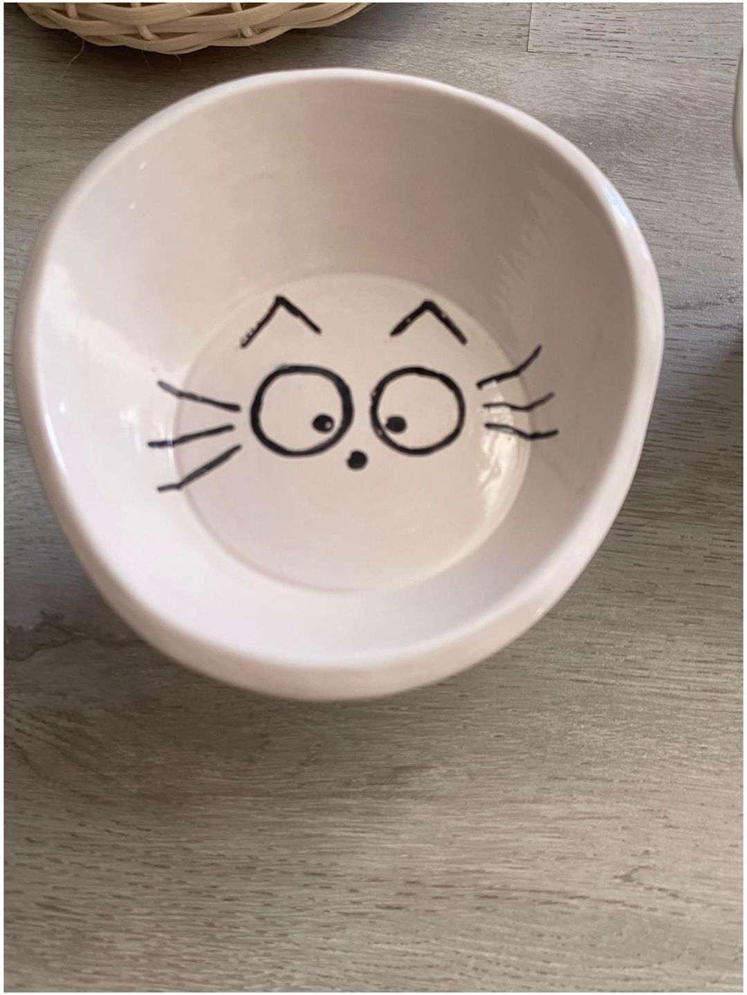 kedi-icin-mama-ve-su-kabi