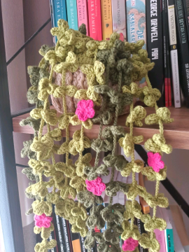 Saksıda Sarmaşık Çiçeği  Yeşil