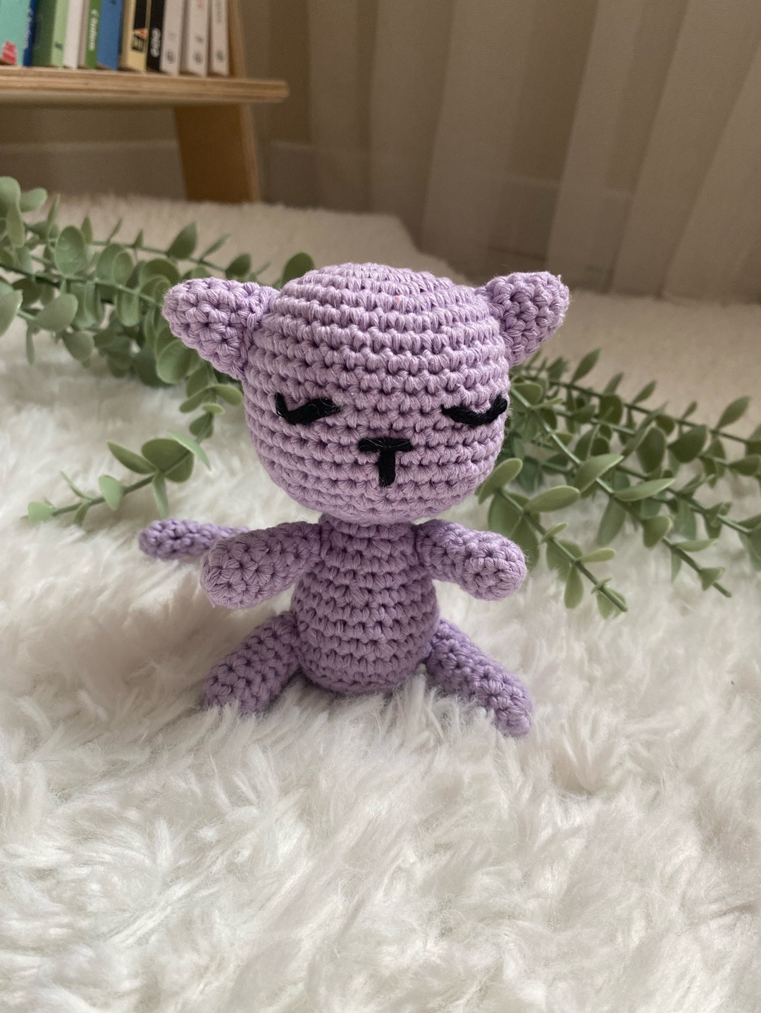 lila-kedi-lila