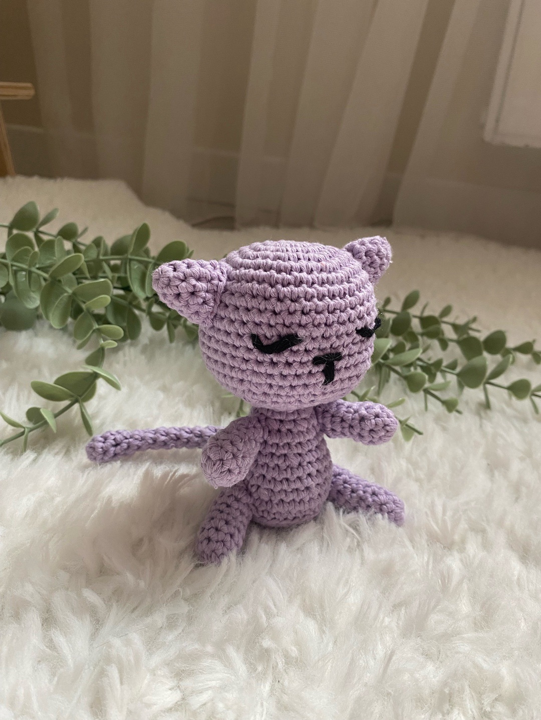 lila-kedi-lila
