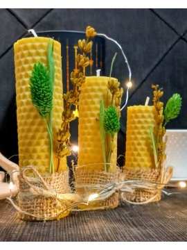 3 Lü Set Balmumu Mum  Çok Renkli