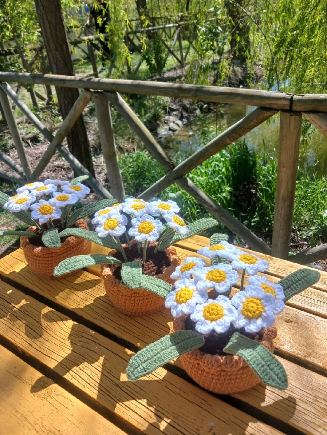saksida-papatya-buketi-beyaz