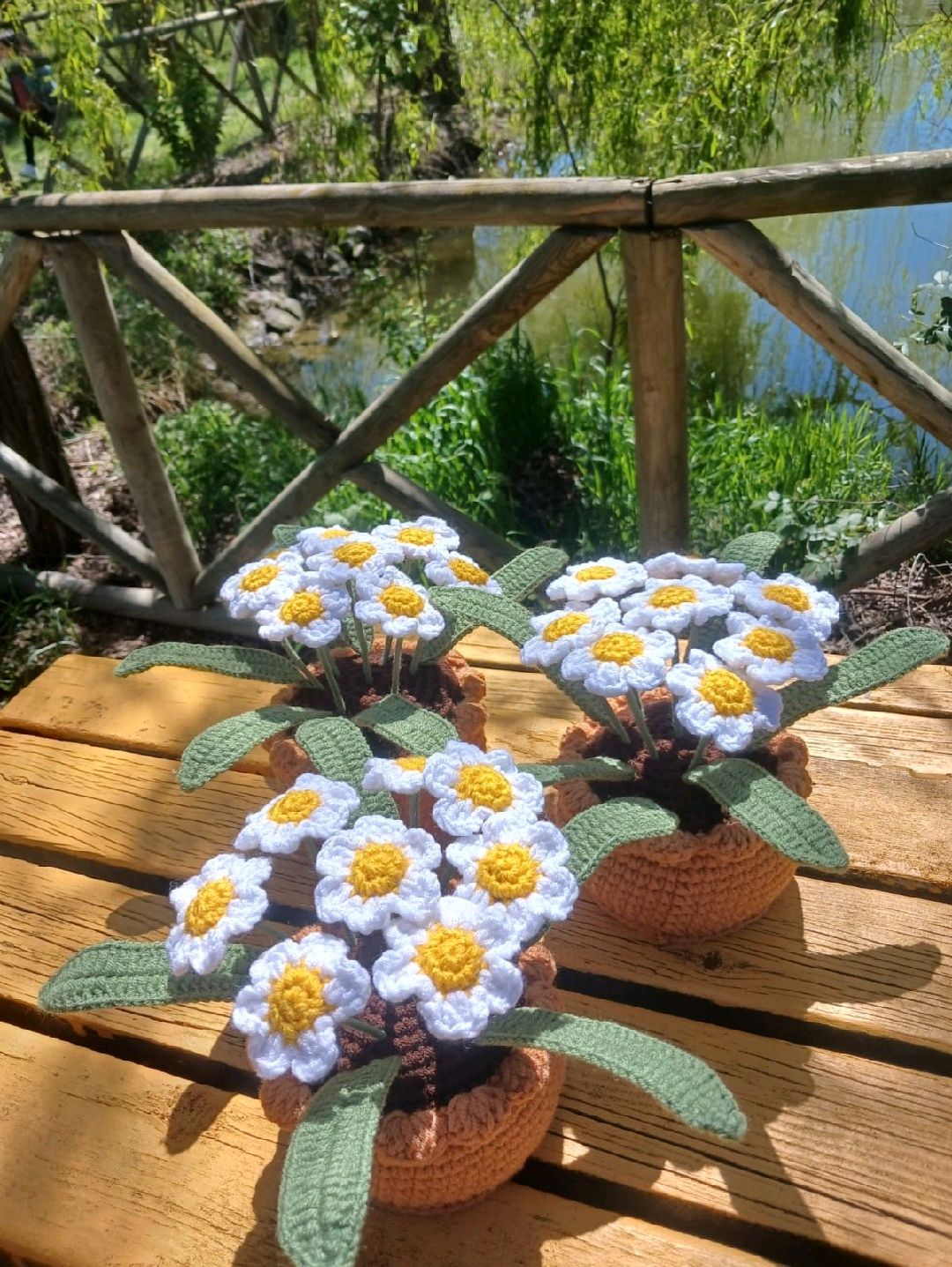 saksida-papatya-buketi-beyaz