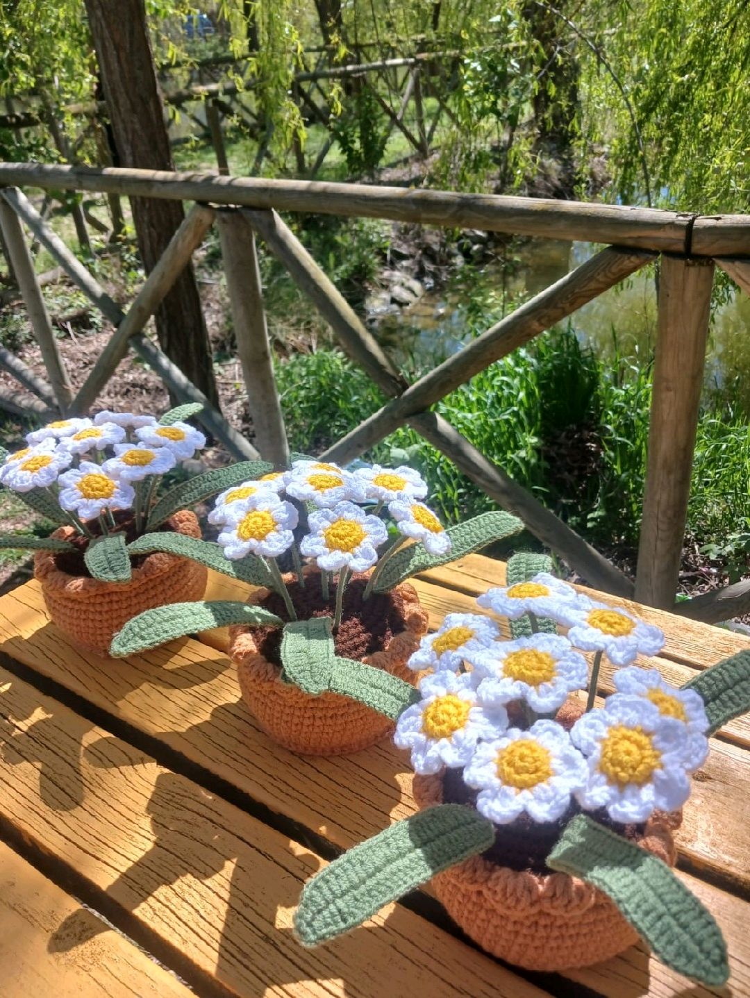 saksida-papatya-buketi-beyaz