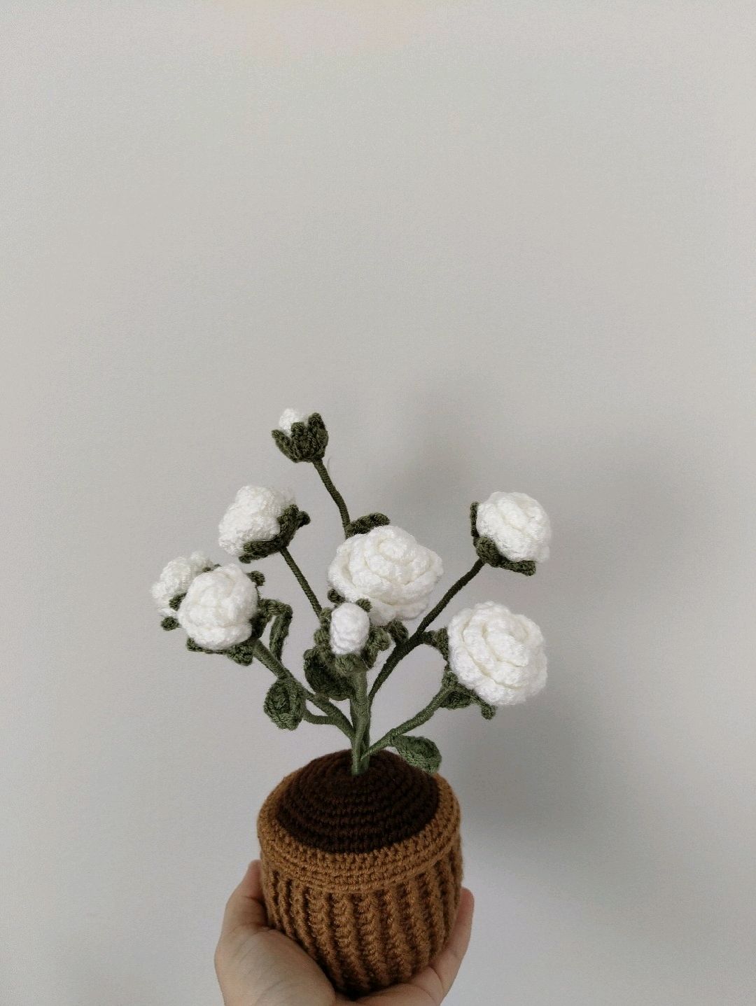saksida-gul-cicek-beyaz