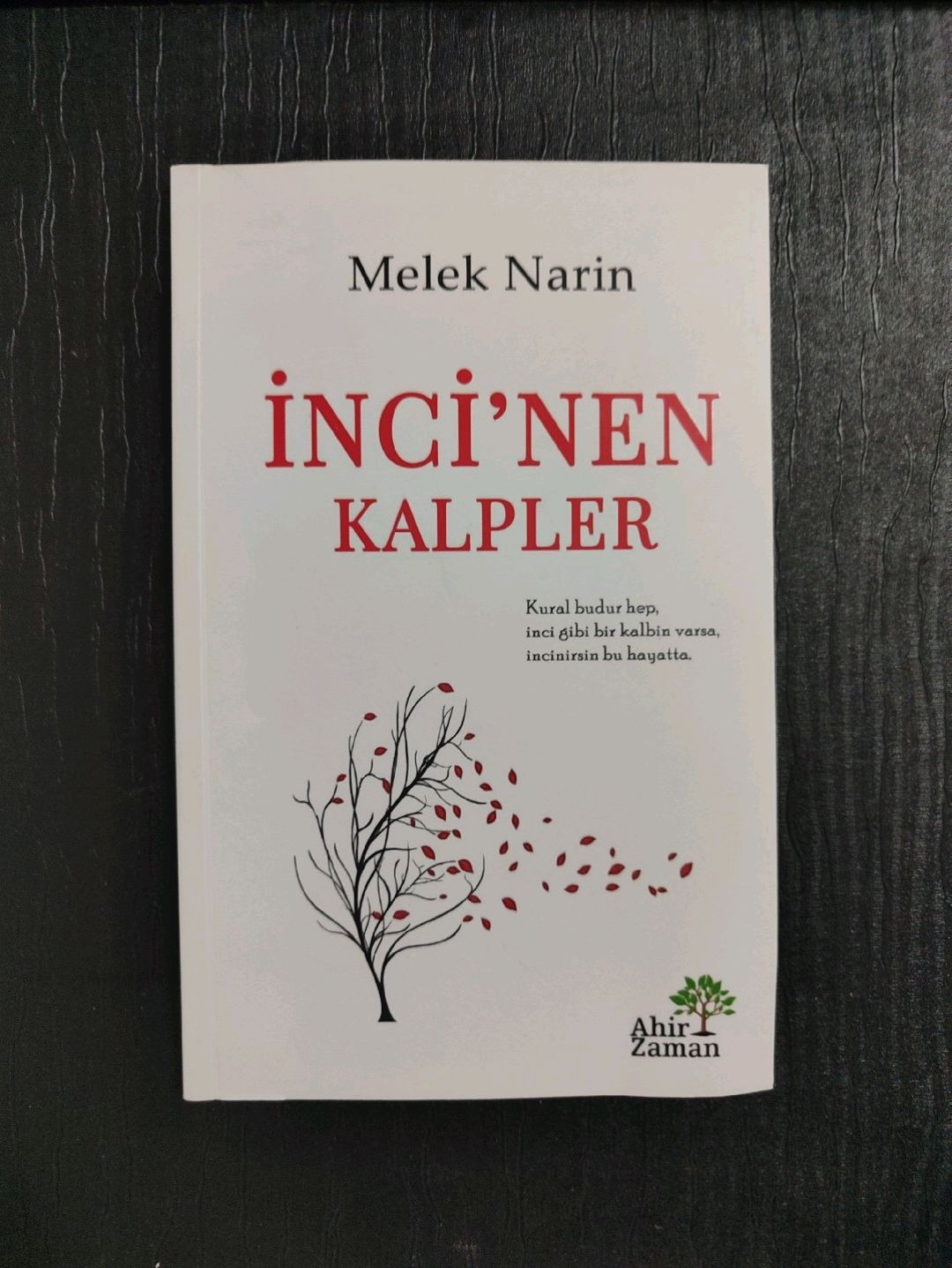 melek-narin---incinen-kalpler