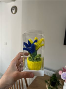 Fenerbahçe Taraftar Saksı Çiçeği 