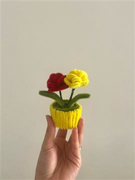 Galatasaray Taraftar Saksı Çiçeği  Sarı