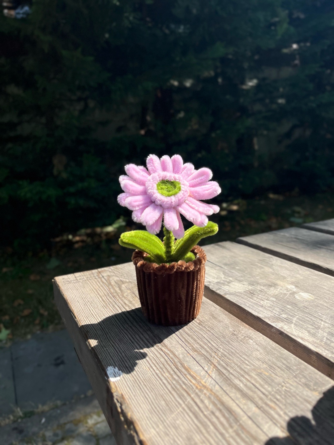 sonil-cicek-pembe